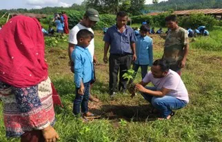 Learning about plants